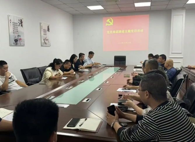 景德鎮(zhèn)長運(yùn):開展黨員亮身份、承諾踐諾主題黨日活動